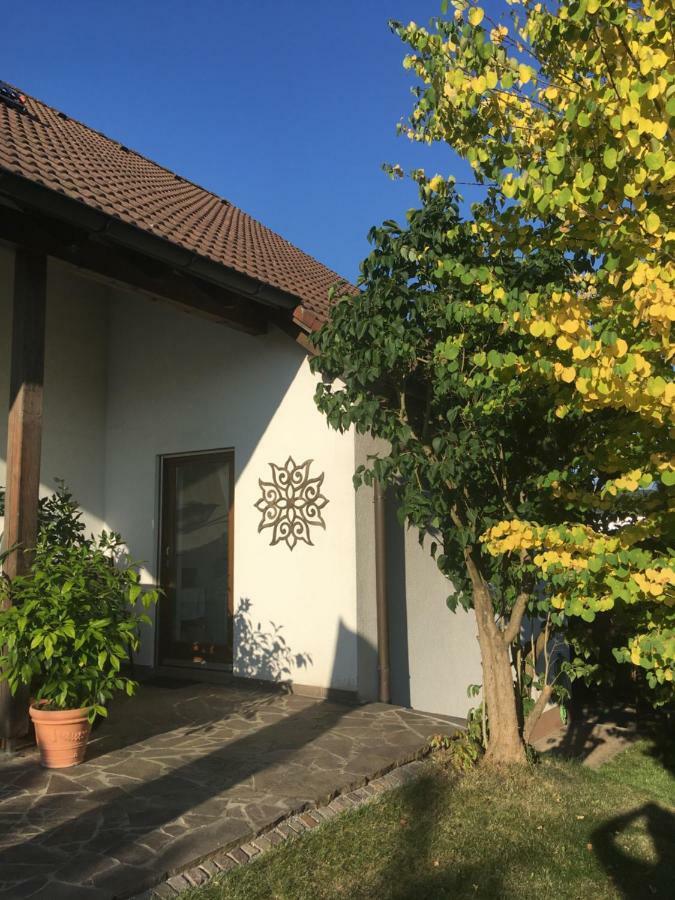 Apartment Am Stadtpark نيوماركت إن دير أوبيرفالز المظهر الخارجي الصورة